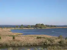 Image 1Tidal wetlands of the Chesapeake Bay, the largest estuary in the nation and the largest water feature in Maryland (from Maryland)