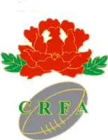 Shirt badge/Association crest