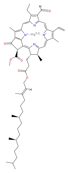 Structure of β-Chlorophyll