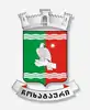 Official seal of Chokatauri Municipality