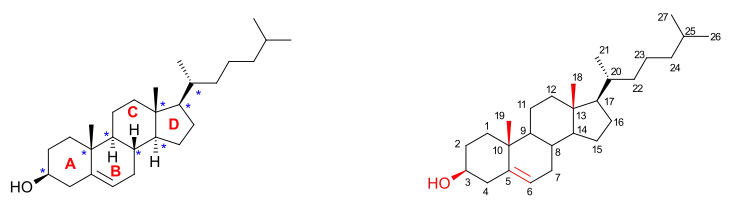 Cholesterol overview