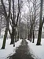 Snowy path through Christ's Pieces