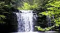 The main waterfall, about 1 mile (1.6 km) along the trail.