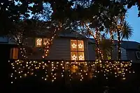 Lights on houses and cabbage trees in Freemans Bay, Auckland