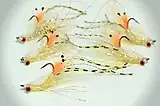 Bonefish shrimp fly