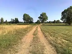 An unpaved road in Cierpiatka