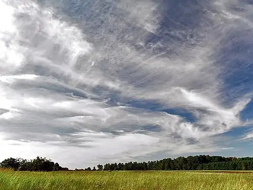 A picture of a bright blue sky with many different types of white cirrus clouds. The clouds are over a grassy field with a line of trees in the distance.