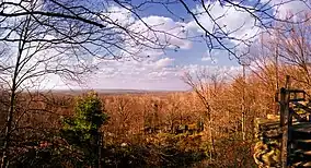 Clear Creek State Forest