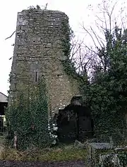 Cloghan Castle is a protected 16th century tower house located just south of Four Roads