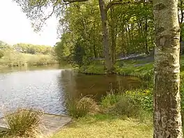 Small reservoir with trees and flowers lining the sides