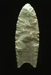 "A Clovis blade with medium to large lanceolate spear-knife points. Side is parallel to convex and exhibit careful pressure flaking along the blade edge. The broadest area is near the midsection or toward the base. The base is distinctly concave with a characteristic flute or channel flake removed from one or, more commonly, both surfaces of the blade. The lower edges of the blade and base is ground to dull edges for hafting. Clovis points also tend to be thicker than the typically thin later stage Folsom points. Length: 4–20 cm/1.5–8 in. Width: 2.5–5 cm/1–2