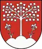 Coat of arms of Brezová pod Bradlom