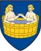 Coat of arms of Bagnes