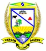 Official seal of Vargem Alegre