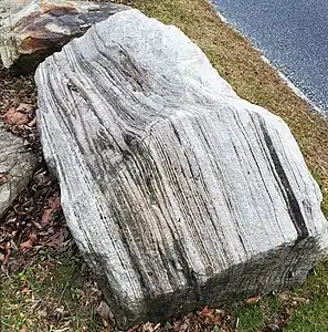 Boulder outside the Marriottsville quarry