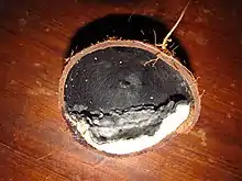 A coconut with a large part of the meat missing