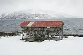 Cod drying along the fjord