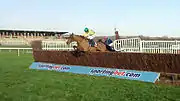 Cois Farraig jumps the last in front at Newbury