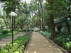 Walkway in the garden