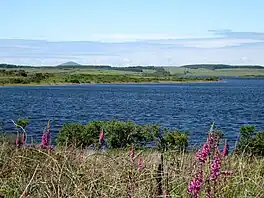 A lake surrounded by fields and wildflowers