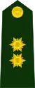 Brigadier general(Colombian National Army)