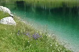 Colours of lake Kaltwassersee, Seefeld