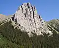 South aspect, from Burstall Pass Trail