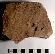 Tile with dog's paw-print on it