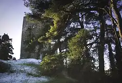 Conna Castle viewed from the east