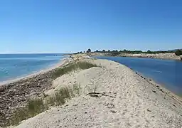 Dune barrier looking south