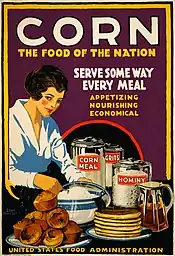 Poster of a woman serving multiple maize-based foods, US Food Administration, 1918