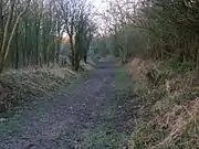 A section of old railway trackbed at Corsehill looking towards the Bannoch Road