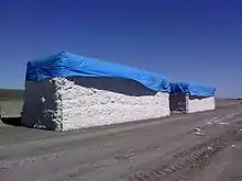 Cotton modules in Australia (2007)