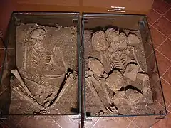 Skeletons discovered at ʿAin Mallaha