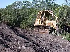 Creating Nesting Sites For Crocodiles