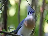 At San Diego Zoo