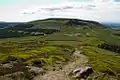 Cringle Moor from Cold Moor