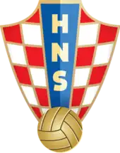 Shirt badge/Association crest