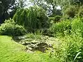 Pond in the gardens