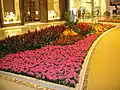 Flower arrangements inside the mall