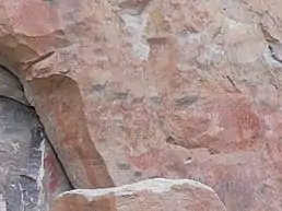 Red guanacos on a rock wall.