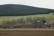 Cultivation terraces, Walkerburn