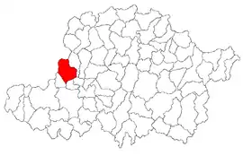 Location in Arad County