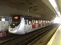 EMU stopped at Tai Wai station