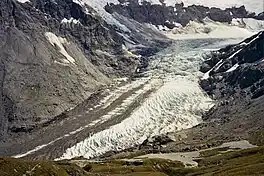 Photo of Dart Glacier