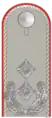 German Army(Oberstleutnant)