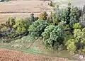 Sacred Oak Tree from the Air.