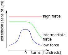 Three schematic torsion-extension curves of a DNA molecule at different stretching forces. For the lowest force, the extension shrinks for both, positive and negative torsion and the curve is symmetric for the positive and negative torsion branch. For intermediate forces, the extension diminishes only for positive turns and for the highest forces it stays constant. The number of turns is in the order of hundreds, and the extension is typically in the order of micrometers.