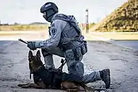 BSB Arrest Team dog handler during training in Poland