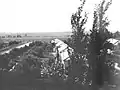 View of southern entrance to the farm, Dafna, 1947